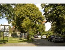Eine von Bäumen umsäumte Straße in einem Wohngebiet, mit parkenden Autos rechts und einem eingezäunten Bereich links. Im Hintergrund sind Gebäude mit roten Ziegeldächern und weißer Fassade zu sehen.