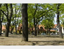 Eine von Bäumen gesäumte Kiesfläche mit geparkten Autos im Vordergrund, im Hintergrund stehen Gebäude mit roten Ziegeldächern und gelben Fassaden. Die Szene zeigt eine ruhige Umgebung mit viel Grün und Lichtdurchflutung durch die Baumkronen.