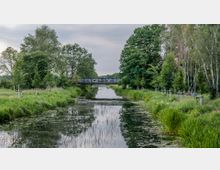 Ein schmaler Flusslauf, umgeben von dichter grüner Vegetation und jungen Bäumen, mit einer kleinen, grafittibedeckten Brücke im Hintergrund. Der Himmel ist wolkig, und die Ufer des Flusses sind von Gräsern und Schilf bewachsen.