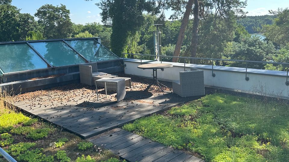 Dachterrasse mit Holzdeck, kleinem Rundtisch und zwei Rattansesseln, umgeben von begrünten Flächen und einem Holzsteg. Am Rand stehen schräge Glasdachfenster und ein Geländer, dahinter Blick auf hohe Kiefern und eine bewaldete Landschaft.