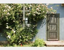 Eine Hauswand mit blauer Putzfassade, einem verwitterten hölzernen Türrahmen und einem danebenliegenden Fenster mit Sprossenelementen, umrahmt von üppig blühenden Kletterrosen und einer Gartenbepflanzung mit bunten Blumen.