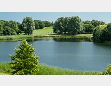 Grüne Parklandschaft mit einem ruhigen See im Vordergrund, umgeben von Schilf und Bäumen. Im Hintergrund eine offene Wiese mit vereinzelten großen Bäumen sowie Menschen, die die Umgebung nutzen.