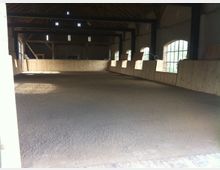 Innenansicht einer Reithalle mit einem Boden aus Sand oder Kies, umgeben von hölzernen Begrenzungswänden. Große Fenster an den Seiten lassen Tageslicht herein, und die Decke besteht aus Balkenkonstruktionen.