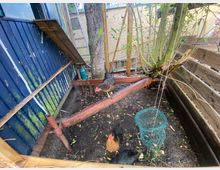 Hühnergehege mit einer blauen Holzwand auf der linken Seite, einem Metallgerüst und einem Baum in der Mitte. Drei Hühner befinden sich auf dem erdigen Boden innerhalb eines umzäunten Bereichs aus Holz und Draht.