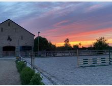 Eine Reitanlage bei Sonnenuntergang, mit einem sandigen Außenreitplatz im Vordergrund, Sprunghindernissen am Rand und einem großen Gebäude aus Ziegelstein mit Pferdekopf-Dekoration im Hintergrund. Der Himmel ist in orange-rosa Farben beleuchtet, umgeben von Bäumen und Zäunen.