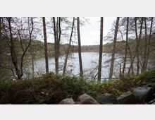 Ein ruhiger See, umgeben von kahlen Bäumen und dichter Vegetation im Vordergrund, mit einzelnen Felsen am unteren Bildrand. Die Umgebung wirkt herbstlich, und der Himmel ist bewölkt.