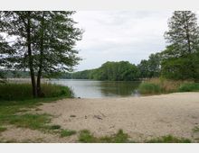 Kleiner Sandstrand an einem ruhigen See, umgeben von Bäumen und Schilf. Im Hintergrund ist dichter, grüner Wald zu sehen, und der Himmel ist bewölkt.
