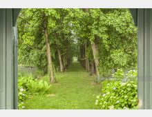 Blick durch einen grünen Torbogen auf eine von Bäumen gesäumte, gerade verlaufende Rasenallee. Links und rechts befinden sich Sträucher, Farne und Hortensien, umgeben von dichter Vegetation.