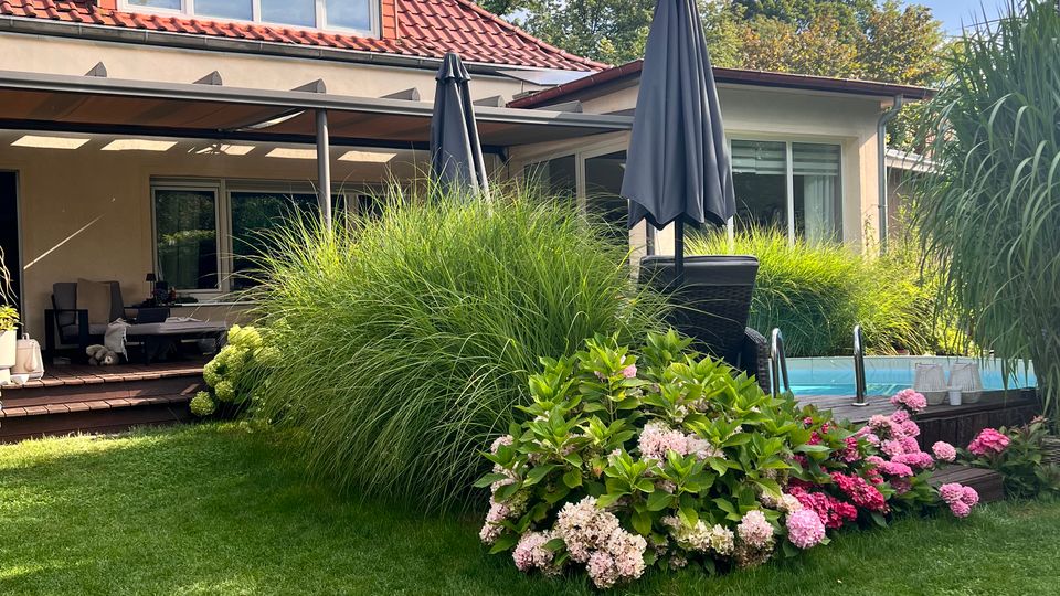 Einfamilienhaus mit rotem Ziegeldach und überdachter Terrasse, davor eine gepflegte Rasenfläche. Im Vordergrund liegen ein bepflanztes Beet mit Ziergräsern und blühenden Hortensien sowie ein kleiner Poolbereich mit Sonnenschirmen.