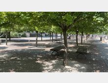 Ein schattiger Park mit symmetrisch angeordneten Bäumen, darunter mehrere Bänke auf einem gepflasterten Weg. Im Hintergrund sind weitere Sitzbereiche und eine offene Fläche zu sehen.