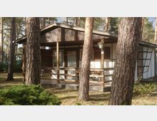 Ein einfaches, einstöckiges Ferienhaus mit Holzveranda steht inmitten eines Kiefernwaldes. Das Gebäude hat helle Wände mit dunklen Holzelementen und ist von mehreren Baumstämmen und niedrigem Strauchwerk umgeben.