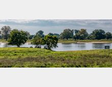 Grüne Flusslandschaft mit einer Wiese im Vordergrund, mehreren Bäumen am Flussufer und einem ruhigen Fluss in der Mitte; im Hintergrund weitere Bäume und ein Schild mit der Zahl „453“.