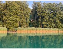 Ein ruhiger See mit klarem, türkisfarbenem Wasser, umgeben von dichter Vegetation aus hohen Schilfhalmen und Bäumen; im Hintergrund ist ein kleines Haus zwischen den Bäumen zu sehen.