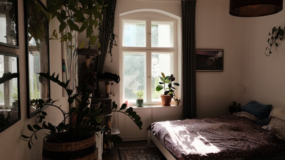 Gemütliches Schlafzimmer mit Doppelbett und gemusterten Textilien, einem großen Sprossenfenster mit dunklen Vorhängen und Sonnenlicht auf dem Bett. Viele Zimmerpflanzen, gerahmte Bilder an der Wand und ein Teppich prägen den Raum.
