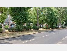 Stadtstraße mit einer Baumallee und niedrigen Sträuchern entlang des Gehwegs. Im Hintergrund sind Geschäfte und ein Gebäude mit Gerüst sowie parkende Autos zu sehen.