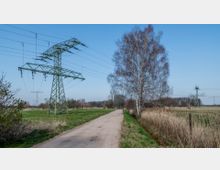 Landschaft mit einem Feldweg, der entlang von Wiesen und einem Wassergraben führt. Neben dem Weg stehen Strommasten und eine hohe Birke; im Hintergrund sind weitere Bäume und Strommasten vor einem klaren blauen Himmel zu sehen.