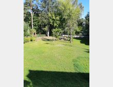 Grüne Rasenfläche mit vereinzelten kleinen Bäumen, umgeben von hohen Laub- und Nadelbäumen im Hintergrund; im Vordergrund fällt der Schatten eines Gebäudes. Im Hintergrund rechts ist eine Schaukel und eine Steinmauer sichtbar.