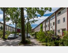 Reihenhäuser mit heller Fassade und roten Backsteinakzenten entlang einer gepflasterten Straße, gesäumt von hohen Bäumen und Grünflächen; geparkte Autos stehen am Straßenrand.