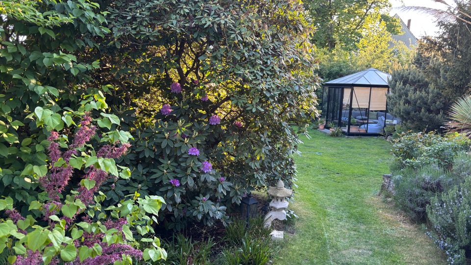 Gepflegter Garten mit dichtem Strauch- und Baumbestand sowie blühenden Pflanzen entlang eines schmalen Rasenwegs. Im Hintergrund steht ein verglaster Pavillon mit dunklem Rahmen und Zeltdach, umgeben von weiteren Sträuchern.