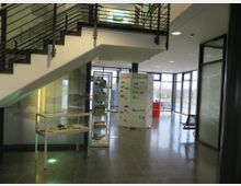 Eingangsbereich eines modernen Gebäudes mit einer Treppe, Glasvitrinen und einer Ausstellungsfläche. Im Hintergrund große Fensterfronten, die Blick nach draußen erlauben.