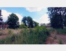 Verlassene Grünfläche mit überwuchertem Gras und Bäumen, im Hintergrund rote Backsteingebäude mit mehreren Fenstern. Der Himmel ist teils bewölkt, und die Umgebung wirkt ungenutzt und naturbelassen.