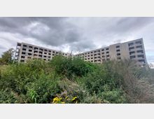 Ein verlassenes, mehrstöckiges Betongebäude mit zahlreichen leeren Fensteröffnungen, umgeben von dichtem Gestrüpp und wildem Bewuchs, unter einem bewölkten Himmel.