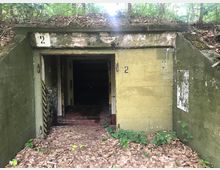 Eingang zu einem verlassenen Bunker oder Lagerraum, eingebettet in eine grasbewachsene und bewaldete Umgebung. Die Betonwände sind alt und verwittert, mit der Zahl "2" an der gelben Fassade und spärlicher Vegetation sowie Laub am Boden.