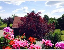 Ein ländlicher Garten mit einem Backsteinhaus mit roten Dachziegeln, umgeben von dichtem Laub und einem Baum mit dunkelroten Blättern. Im Vordergrund befinden sich leuchtend pinke und orangefarbene Blumen in einem Blumenkasten, während der Himmel leicht bewölkt ist.