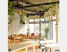 Ein modernes Café mit einem offenen, hellen Innenraum. Es gibt Holztische, bunte Stühle, hängende Pflanzen und große Fenster, die viel Tageslicht hereinlassen.