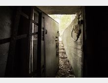 Blick aus dem Inneren eines dunklen Betonbunkers mit einer schweren Metalltür, die nach außen zu einem schmalen, mit Laub bedeckten Gang führt. Der Gang endet im Freien unter einer hellen, bewaldeten Umgebung.