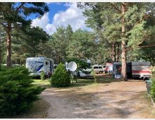 Campingplatz mit mehreren Wohnwagen und Wohnmobilen, umgeben von hohen Kiefern und dichtem Grün. Im Vordergrund sind ein schmaler Sandweg und Sträucher zu sehen, während der Himmel teils bewölkt ist.