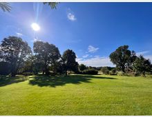Grüne Parklandschaft mit weitläufiger Wiese, einzelnen Bäumen und dichten Sträuchern im Hintergrund unter klarem, blauem Himmel mit strahlender Sonne. Links und rechts säumen große, schattenspendende Bäume das Bild.
