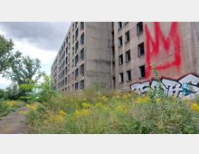 Verlassenes mehrstöckiges Gebäude mit verblasster Fassade, teils zerstörten Fenstern und Graffiti. Im Vordergrund sind überwucherte Wildpflanzen und eine asphaltierte Fläche erkennbar, im Hintergrund Bäume und ein bewölkter Himmel.