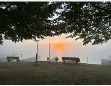 Eine Uferlandschaft mit zwei Holzbänken auf einer Wiese, umgeben von dichter Morgennebel. Der Sonnenaufgang leuchtet durch die Nebeldecke, während im Hintergrund schemenhaft ein Bootssteg mit Booten erkennbar ist.