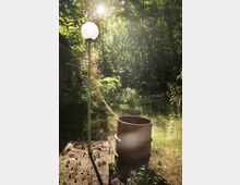 Eine verwilderte Außenfläche mit hohen Gräsern und Bäumen im Hintergrund, beleuchtet von Sonnenlicht. Im Vordergrund stehen eine verrostete Metalltonne und eine verwitterte Straßenlaterne mit einer überwucherten Kletterpflanze.