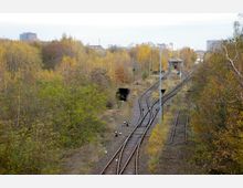 Verlassene Bahngleise, umgeben von dichtem Herbstlaub und Bäumen. Im Hintergrund sind Industriegebäude und Hochhäuser einer Stadt zu sehen.