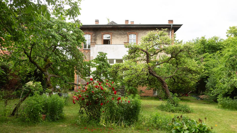 Blick auf einen grünen Garten mit Rasen, Obstbäumen und einem Rosenstrauch im Vordergrund. Im Hintergrund steht ein zweigeschossiges Wohnhaus mit verputzter Fassade, Backsteinakzenten, Satteldach und mehreren Fenstern.
