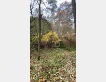 Ein überwucherter Gartenweg führt zu einem alten Gebäude mit einem moosbedeckten Dach, umgeben von Bäumen und dichtem Unterholz in einem herbstlichen Wald.