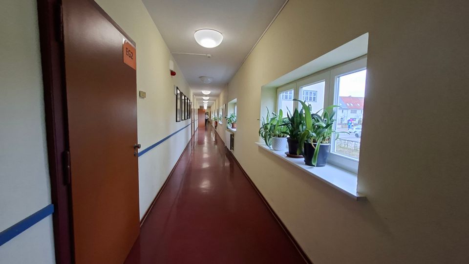 Langer, schmaler Innenflur in einem Gebäude mit rotem Boden, weißen Wänden und runden Deckenleuchten. Links befinden sich Türen und gerahmte Aushänge, rechts eine Reihe großer Fenster mit breiten Fensterbänken und mehreren Topfpflanzen.