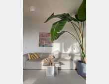 Bright, minimalist living room with a light gray sectional sofa, a low marble coffee table, and an abstract wall painting on a white wall. A large potted tropical plant with broad leaves dominates the right side, beneath a modern ceiling light and beside a slim floor lamp.