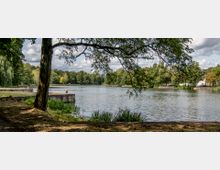 Flussufer mit dichtem Baumbewuchs und Blick auf ruhiges Wasser; im Vordergrund ein Baum mit tiefhängenden Ästen, im Hintergrund sind mehrere Betonplattformen am Ufer und eine Mischung aus Laubbäumen erkennbar.