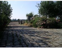 Pflasterweg führt durch eine ländliche Umgebung mit blühenden Rosenbüschen und Bäumen; im Hintergrund ist ein Holztor zu sehen, das zu einem Feld führt.