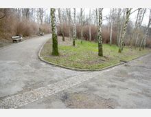 Ein Weg mit Abzweigung in einem Park, umgeben von Birken und niedrigem Gestrüpp. Auf beiden Seiten des Hauptwegs stehen Holzbänke, und der Boden ist teilweise mit Kopfsteinpflaster eingefasst.