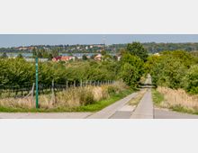 Ein schmaler gepflasterter Weg führt durch eine grüne Landschaft mit Bäumen und Gebüsch. Im Hintergrund sind ein Dorf mit roten Dächern, ein See und eine bewaldete Hügellandschaft sichtbar.