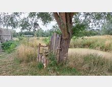 Eine ländliche Szene mit einem improvisierten Holzstuhl, der an einen Baum gelehnt ist, umgeben von hohem Gras und Wildpflanzen. Im Hintergrund sind ein kleiner Teich mit grünem Wasser, ein Holzzaun und Wälder zu sehen.