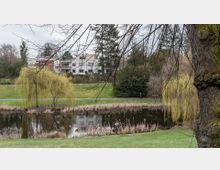 Ein Park mit einem kleinen Teich im Vordergrund, umgeben von Schilf und überhängenden Ästen eines Weidenbaums. Im Hintergrund sind Rasenflächen, Spazierwege, dichte Bäume sowie moderne Wohngebäude zu sehen.