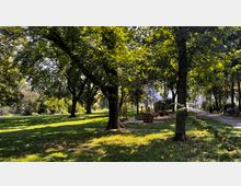 Ein Stadtpark mit großen Bäumen, grünem Rasen und einem befestigten Gehweg. Im Hintergrund sind Sitzbänke, ein offener Bereich mit Outdoor-Fitnessgeräten und vereinzelte Passanten zu sehen.