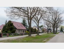 Straße in einem Wohngebiet mit freistehenden Einfamilienhäusern, Vorgärten und hohen, unbelaubten Bäumen entlang des Gehwegs. Rechts führt ein gepflasterter Weg vorbei an geparkten Autos, während im Hintergrund weitere Häuser zu sehen sind.