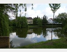 Teich in einer grünen Parkanlage mit umstehenden Weidenbäumen und reflektierenden Häusern im Wasser, darunter ein gelbliches und ein weißes Gebäude. Im Vordergrund ist eine schmale Rasenfläche zu sehen.