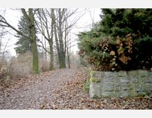 Ein mit Laub bedeckter Spazierweg führt durch eine von kahlen Bäumen gesäumte Landschaft, rechts im Bild befindet sich eine kleine Steinmauer, die von dichtem Buschwerk bewachsen ist. Die Umgebung wirkt herbstlich mit vereinzeltem Unterholz und kahlen Baumkronen.